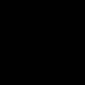 Meet your Posher, Destiny